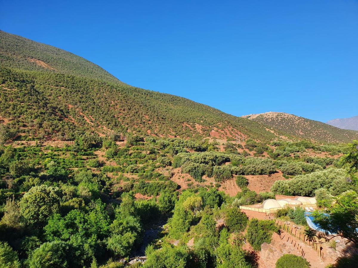 לינה וארוחת בוקר אואירגאנה Kasbah Africa מראה חיצוני תמונה