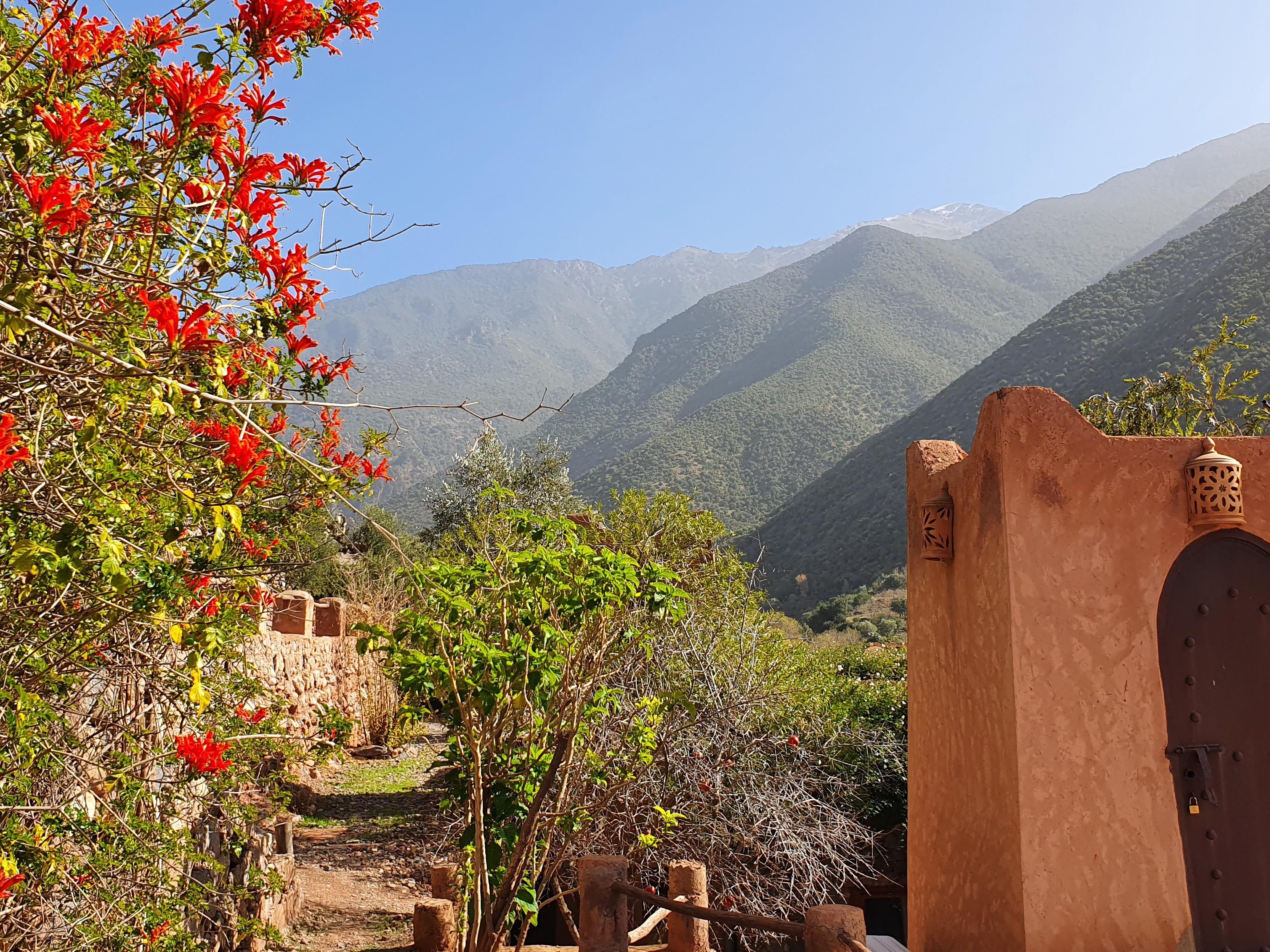 לינה וארוחת בוקר אואירגאנה Kasbah Africa מראה חיצוני תמונה