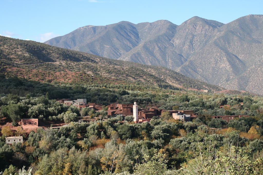 לינה וארוחת בוקר אואירגאנה Kasbah Africa מראה חיצוני תמונה
