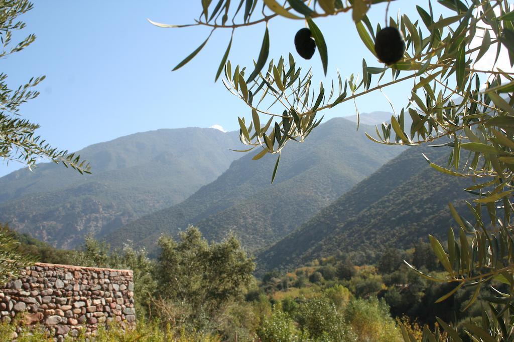 לינה וארוחת בוקר אואירגאנה Kasbah Africa מראה חיצוני תמונה