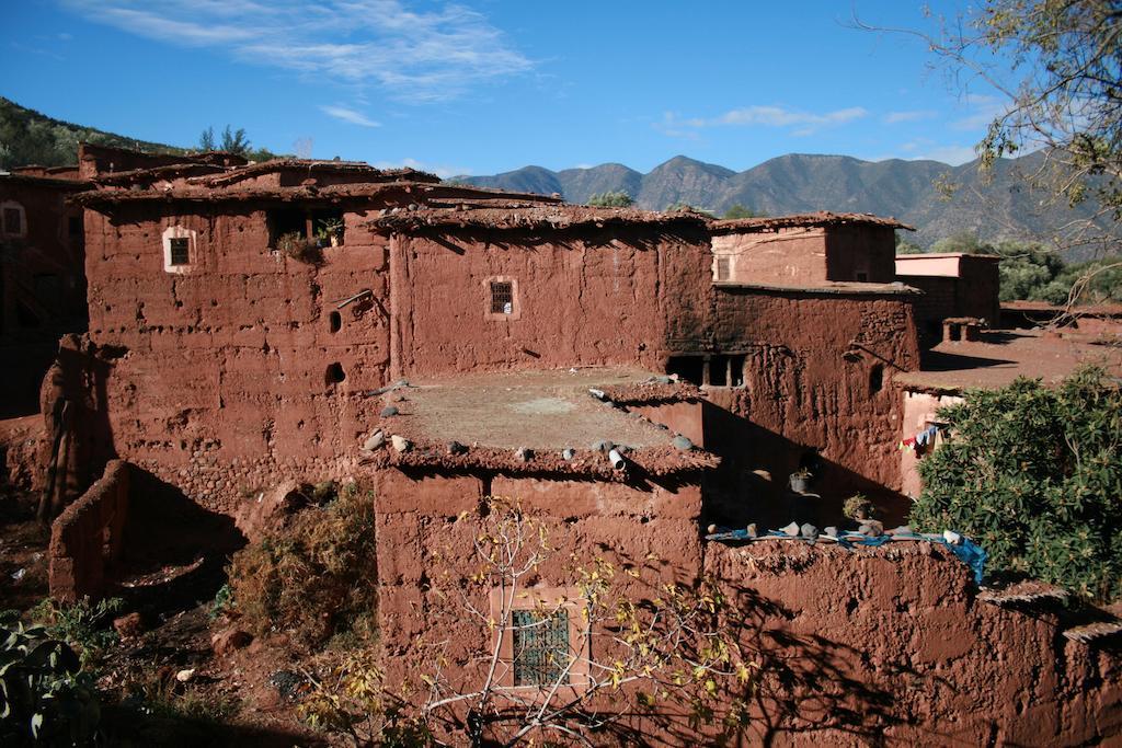 לינה וארוחת בוקר אואירגאנה Kasbah Africa מראה חיצוני תמונה